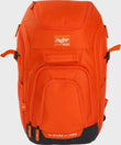 Franchise 2 Player's Baseball Backpack