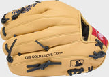 Rawlings Select Pro Lite Anthony Volpe 11.25-Inch Baseball Glove